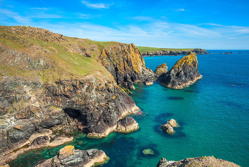 Rocky coastal scenery at Kynance Cove on the Lizard Peninsula in Cornwall, England, United Kingdom, Europe