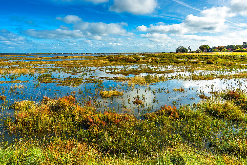 Morston salt Marshes seen from the Blakeney to Morston coastal path, Norfolk, England, United Kingdom, Europe