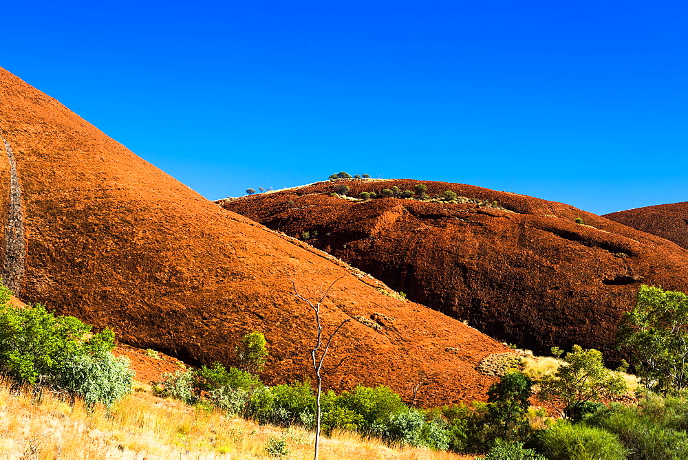 The Olgas (Kata Tjuta), Uluru-Kata Tjuta National Park, UNESCO World Heritage Site, Northern Territory, Australia, Pacific