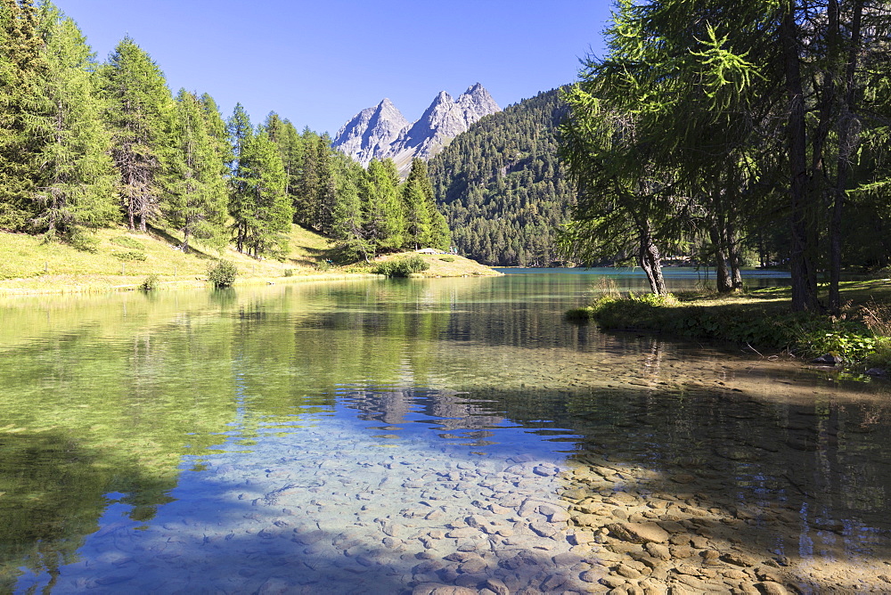 Lai da Palpuogna in the summer time, Albula Pass, Engadine Valley, Graubunden, Switzerland, Europe