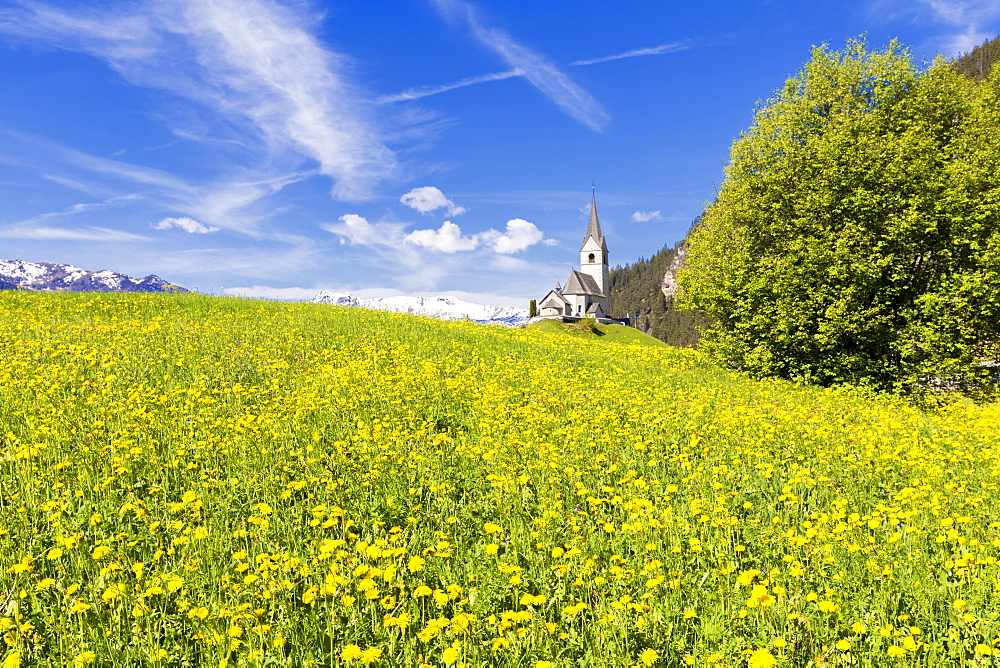 Summer flowers and traditional church of Davos Wiesen, Parc Ela, Prettigau/Davos, Graubunden, Switzerland, Europe