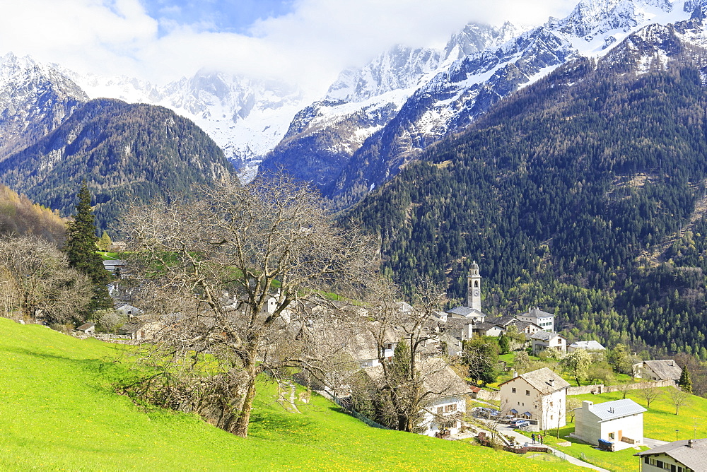 Spring at the village of Soglio, Val Bregaglia (Bregaglia Valley), Graubunden, Switzerland, Europe