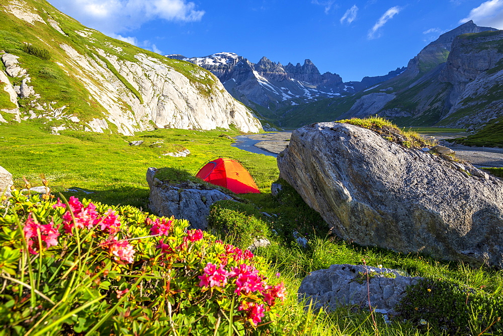 The sun illuminates a red tent, Unterer Segnesboden, Flims, District of Imboden, Canton of Grisons (Graubunden), Switzerland, Europe