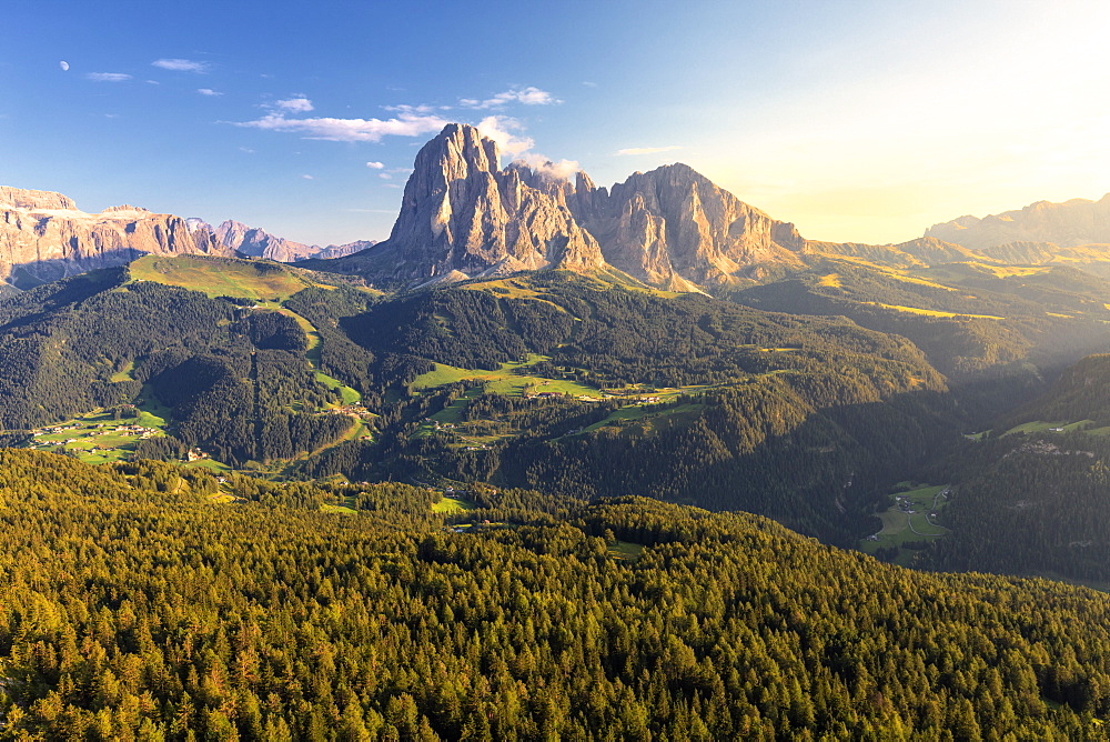 Elevated view of the forest above Gardena Valley with view on Sassolungo Group, South Tyrol, Dolomites, Italy, Europe