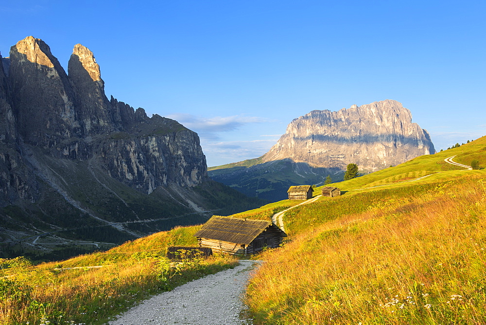 Traditional hut with Sassolungo in the background, Gardena Pass, Gardena Valley, South Tyrol, Dolomites, Italy, Europe