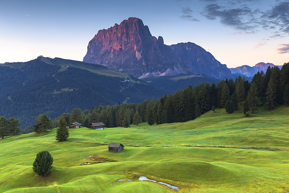 First light on Sassolungo peak, Daunei, Selva Val Gardena, Gardena Valley, South Tyrol, Dolomites, Italy, Europe