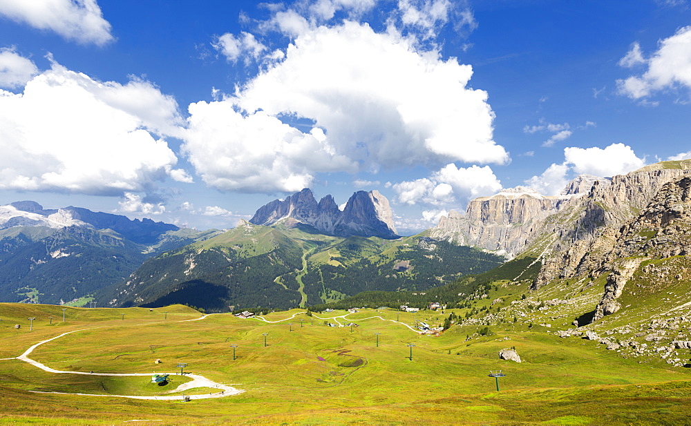 Ski slopes in summer with Sassolungo Group in the background, Pordoi Pass, Fassa Valley, Trentino, Dolomites, Italy, Europe