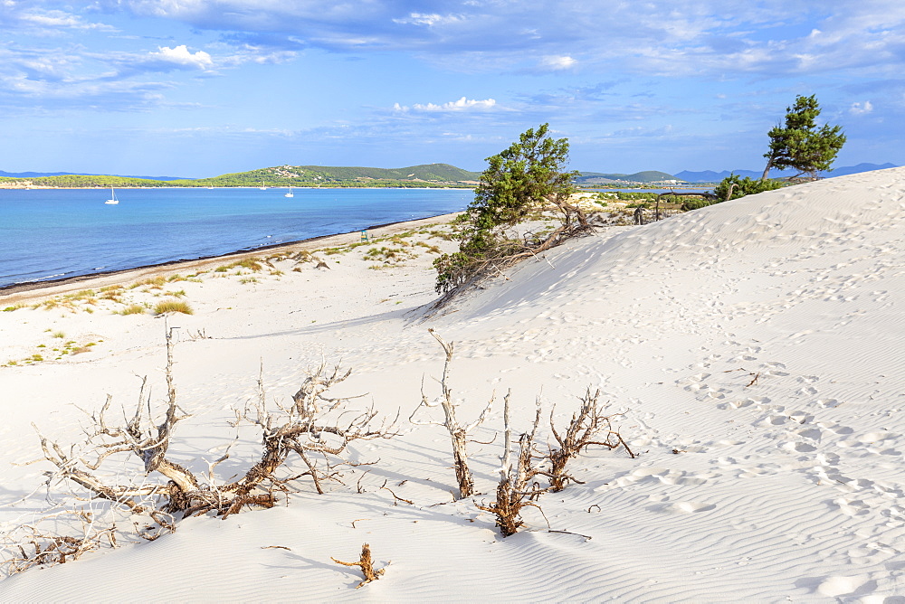 Sea from a sand dune of Is Arenas Biancas, Teulada, Cagliari province, Sardinia, Italy, Mediterranean, Europe