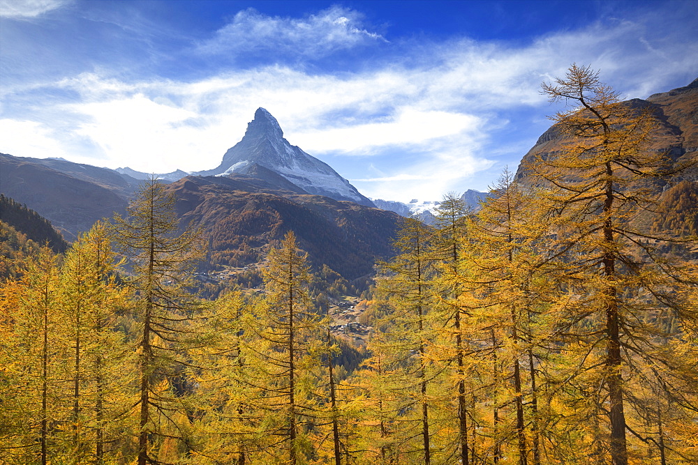 Autumn trees by Matterhorn in Switzerland, Europe