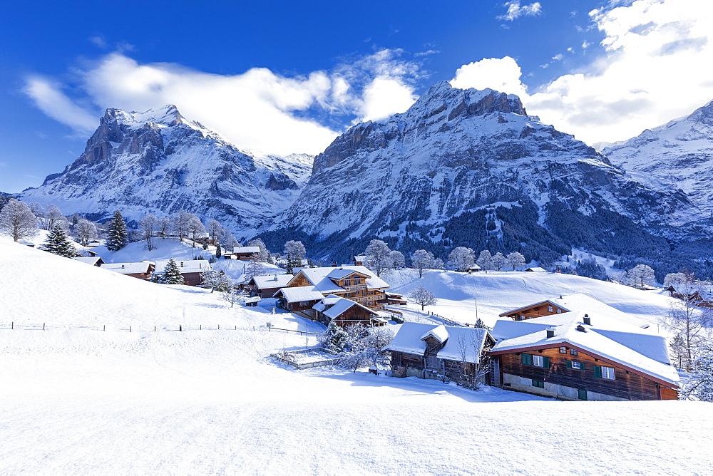 Traditional houses after a snowfall, Grindelwald, Canton of Bern, Switzerland, Europe