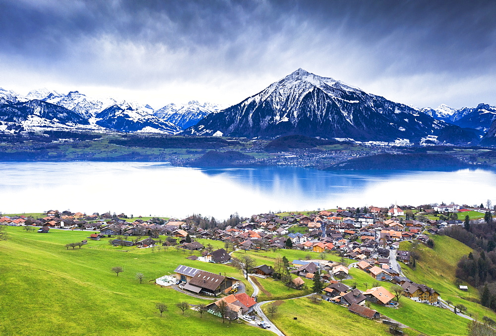 Aerial view of Sigriswil with Thun Lake, Canton of Bern, Switzerland, Europe