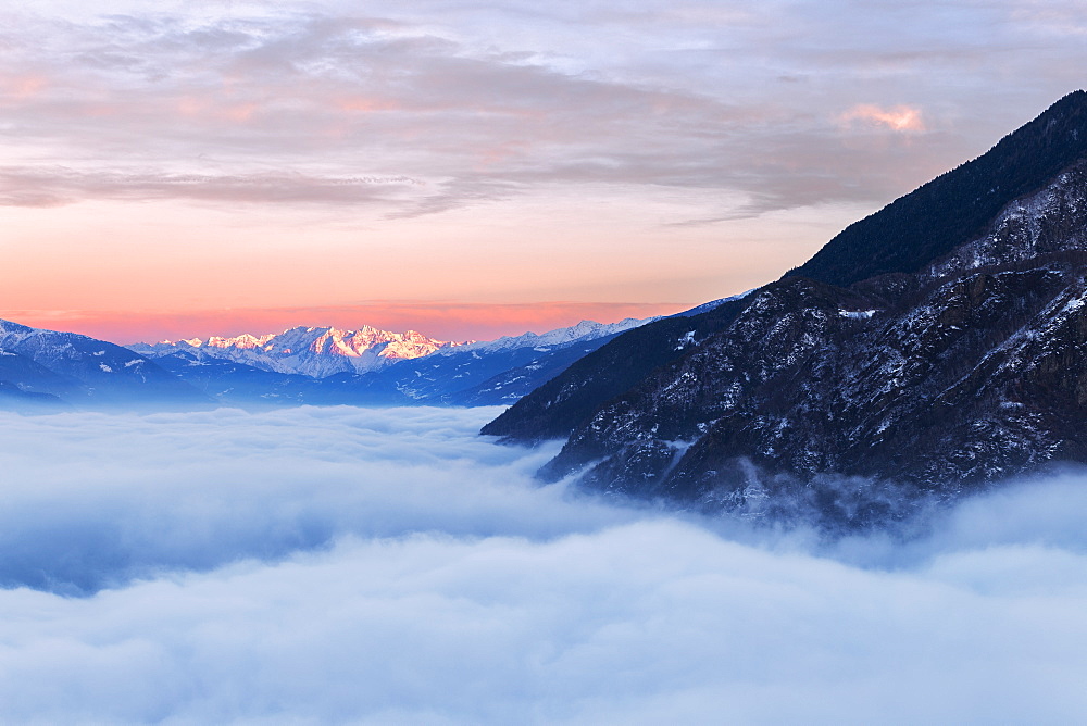 Sea of fog in Valtellina with Adamello group in the background at sunset, Valtellina, Lombardy, Italy, Europe