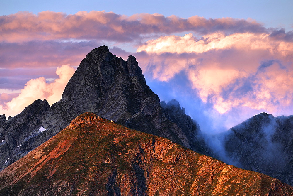 Sheep on a sunlit ridge, Valgerola, Orobie Alps, Valtellina, Lombardy, Italy, Europe