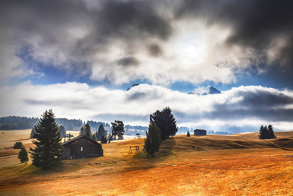 The plateau of Seiser Alm during autumn, Seiser Alm, Dolomites, province of Bolzano, South Tirol, Italy, Europe