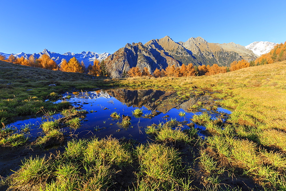 Small pond of Alpe Granda, Valtellina, Lombardy, Italy, Europe