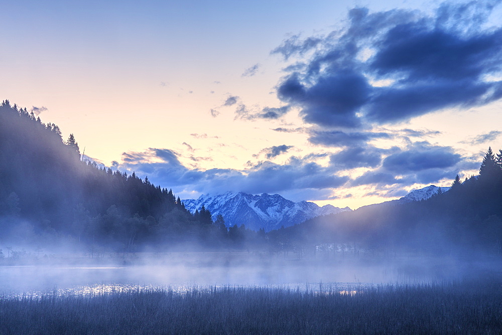 Foggy sunrise at the pond in the Pian di Gembro reserve, Pian di Gembro, Valtellina, Lombardy, Italy, Europe