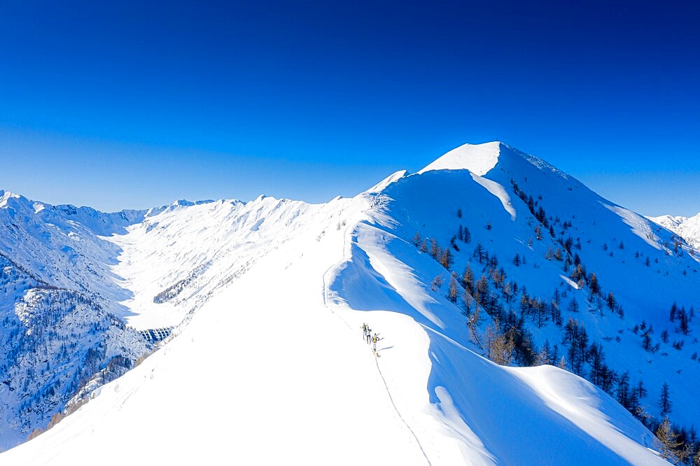 Skiers climb Pizzo Meriggio with skis in winter, Valtellina, Lombardy, Italy, Europe