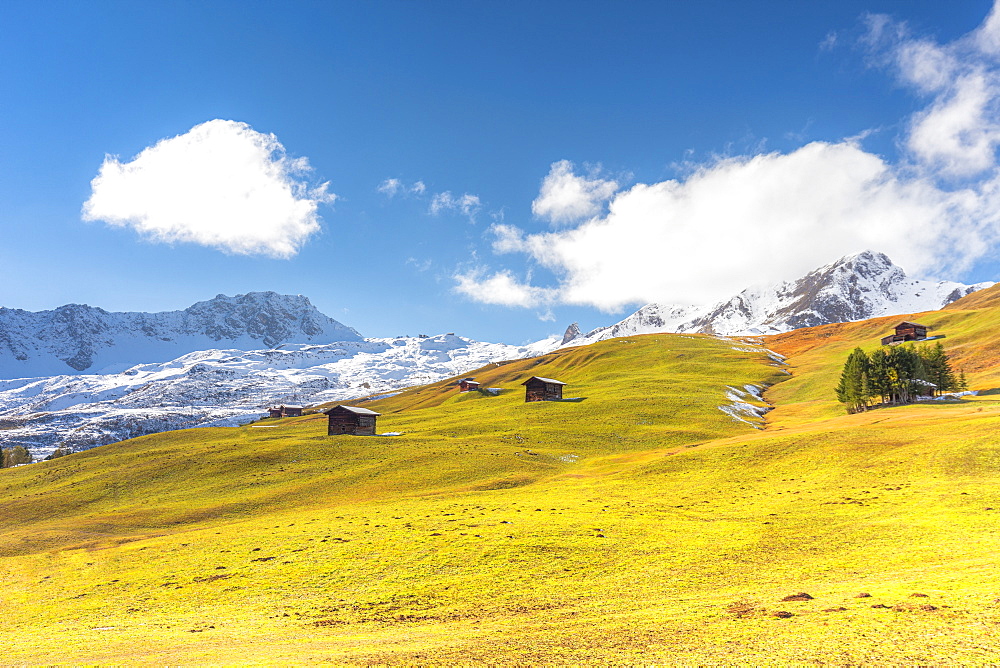 Traditional huts in the pasture in autumn, Arosa, Canton Graubunden, Switzerland, Europe