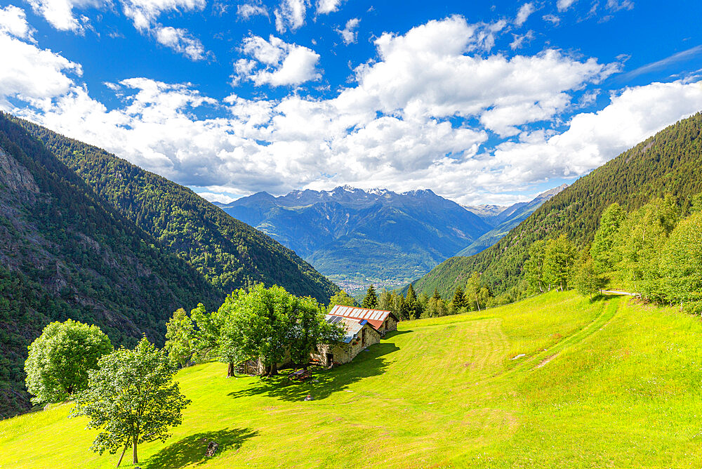 Lonely traditional hut in a wild alpine valley, Val d'Arigna, Orobie, Valtellina, Lombardy, Italy, Europe