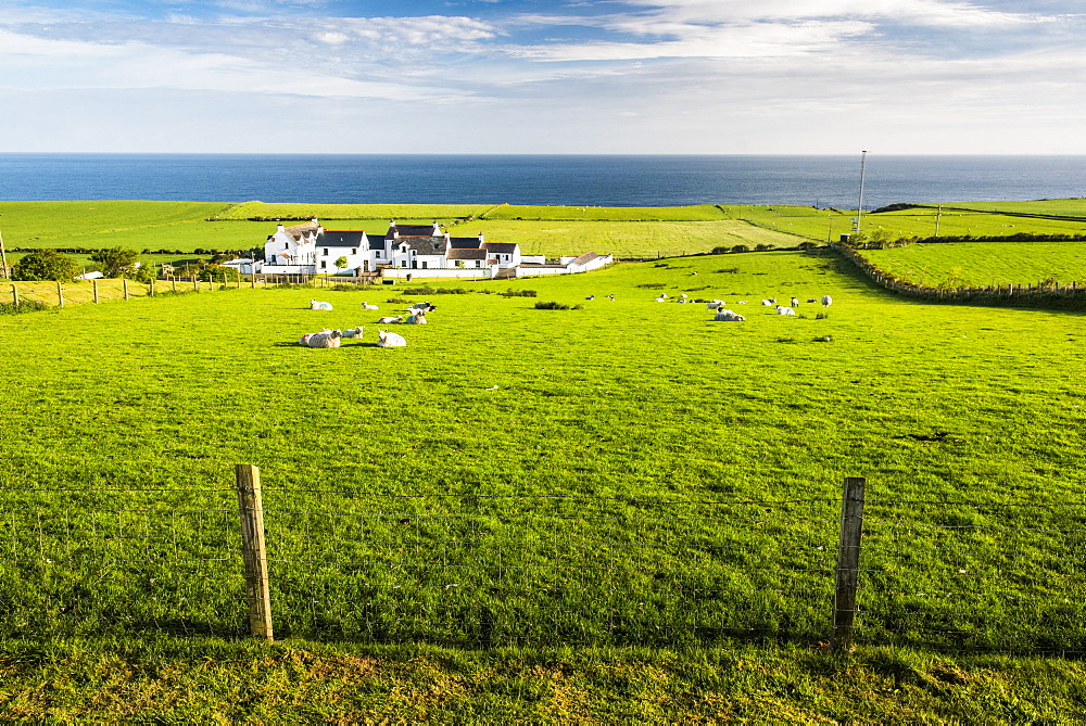 Countryside on the Antrim Coast, Country Antrim, Ulster, Northern Ireland, United Kingdom, Europe