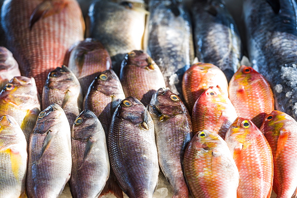 Fish for sale at a food market in Fort Kochi (Cochin), Kerala, India, Asia