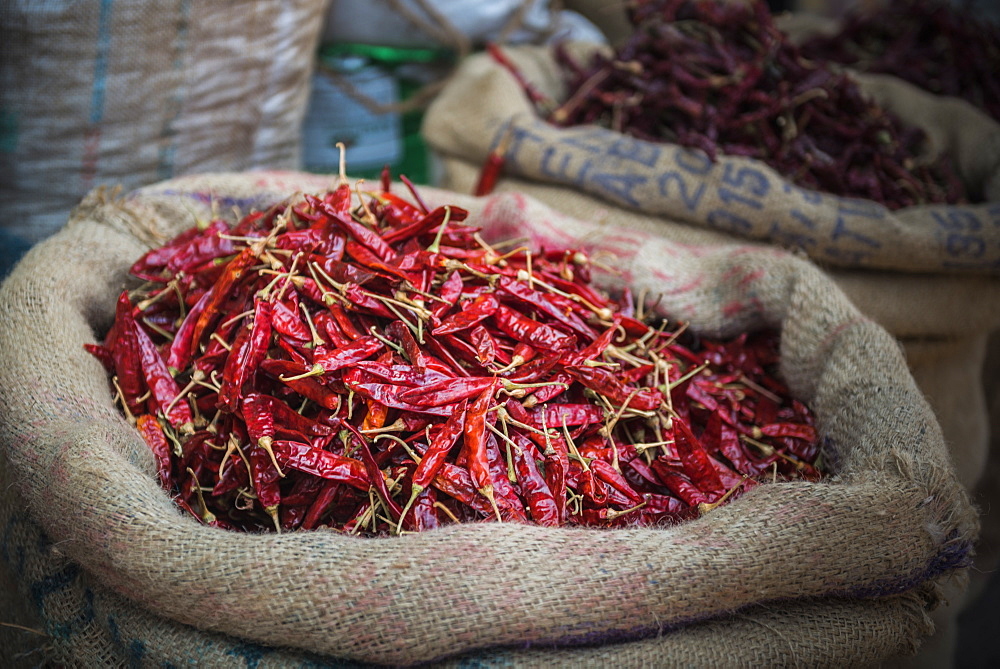 Chillies for sale at a spice market in Fort Kochi (Cochin), Kerala, India, Asia