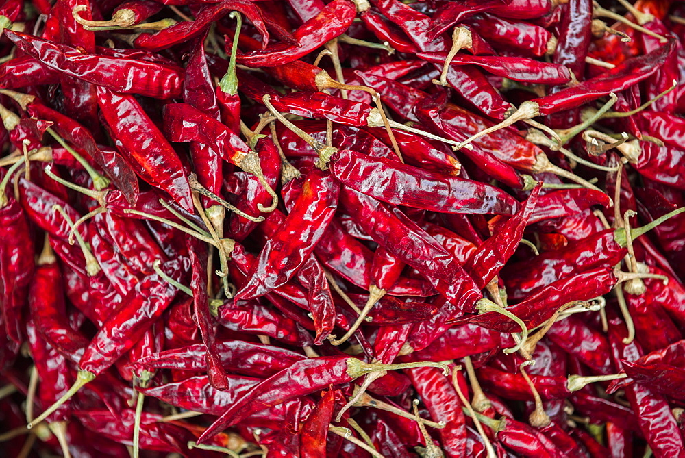 Chillies for sale at a spice market in Fort Kochi (Cochin), Kerala, India, Asia