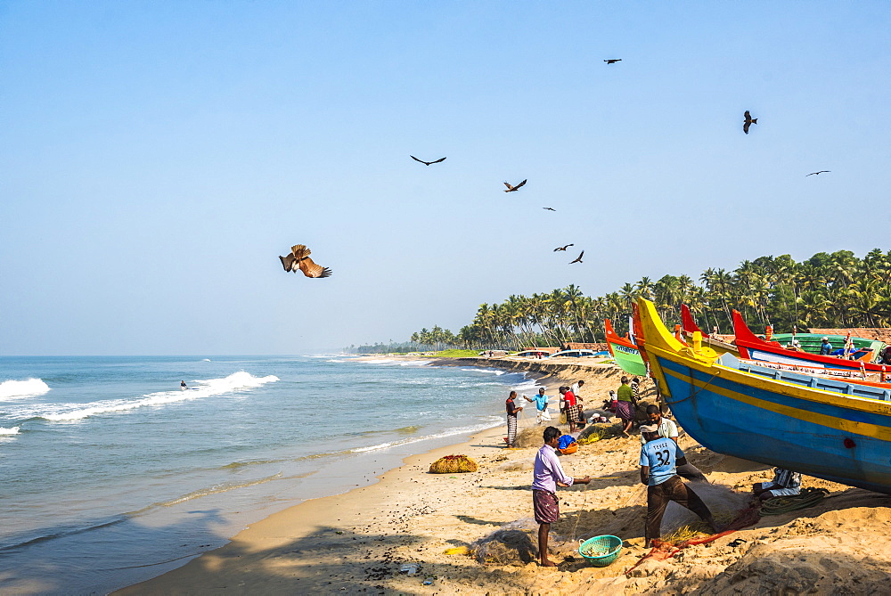 Fishermen at Kappil Beach, Varkala, Kerala, India, Asia