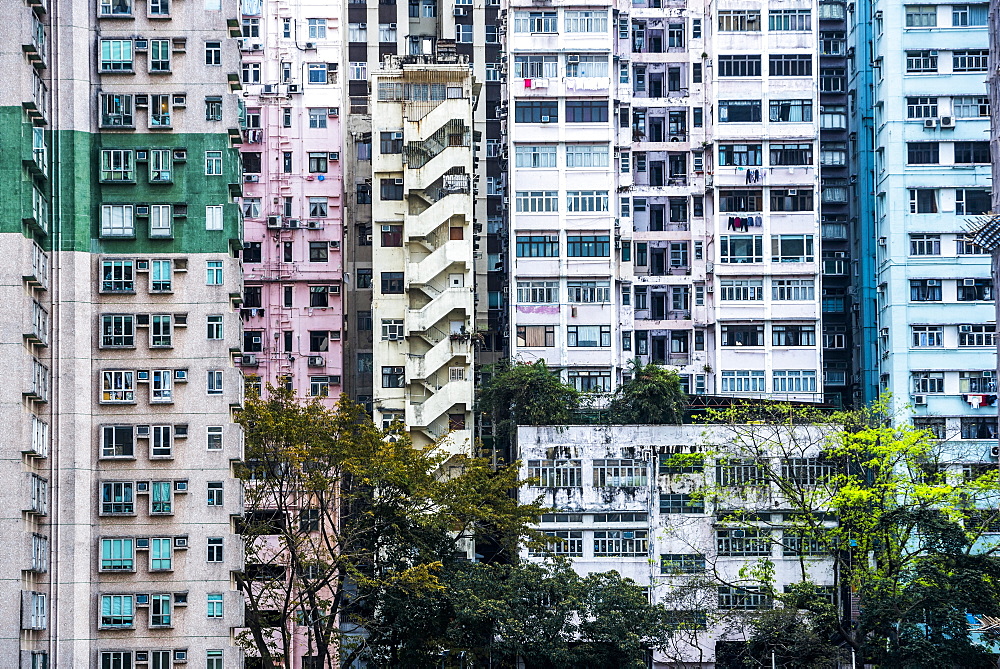 Flats in an apartment block, Hong Kong Island, Hong Kong, China, Asia