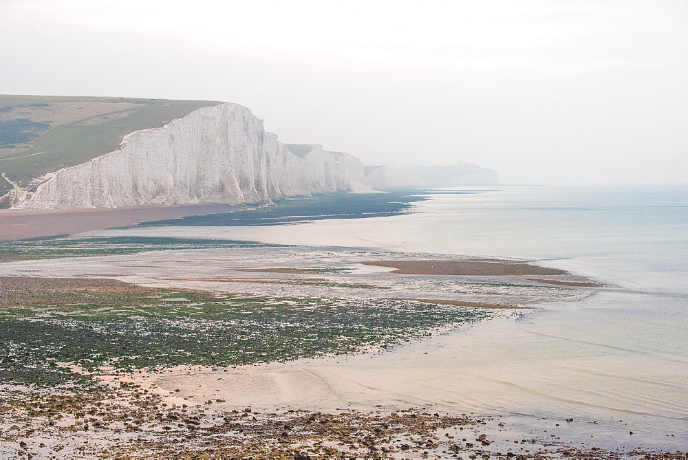 Seven Sisters chalk cliffs, Cuckmere Haven, South Downs National Park, East Sussex, England, United Kingdom, Europe