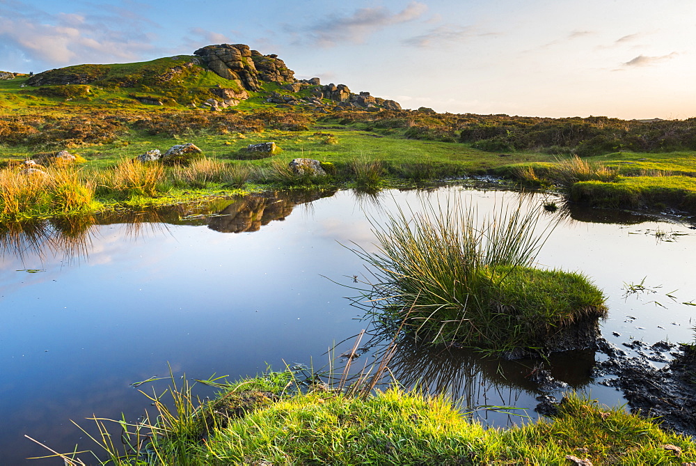 Tor in Dartmoor National Park, Devon, England, United Kingdom, Europe