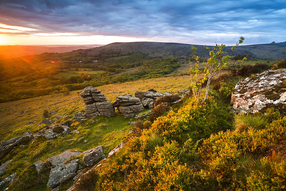 Tor at sunrise, Dartmoor National Park, Devon, England, United Kingdom, Europe