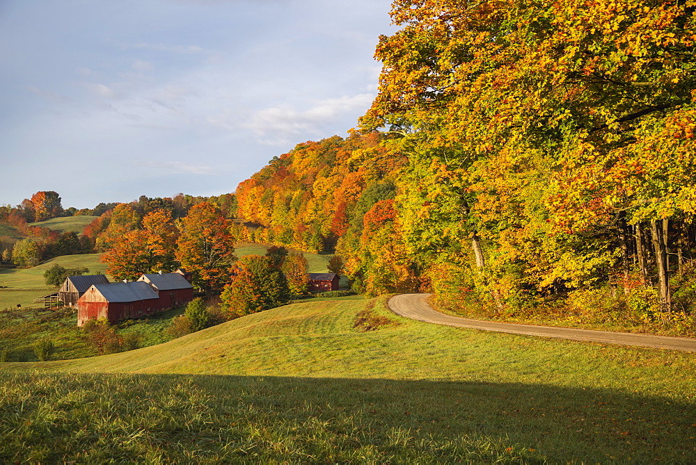 Jenne Farm on an autumn morning, Vermont, New England, United States of America, North America