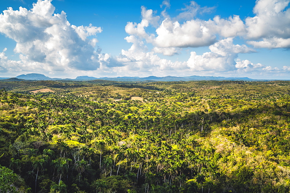 View from highest bridge in Cuba, Varadero, Hicacos Peninsula, Matanzas Province, Cuba, West Indies, Central America