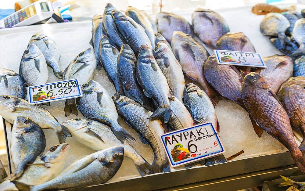 Fresh fish stand, Chania, Crete, Greek Islands, Greece, Europe