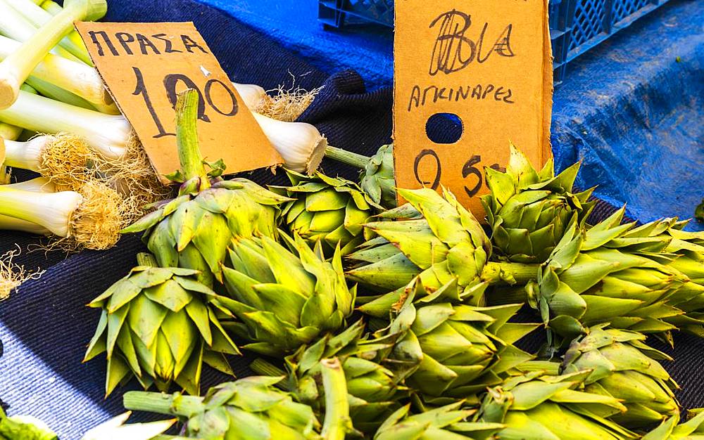 Artichokes, Chania, Crete, Greek Islands, Greece, Europe