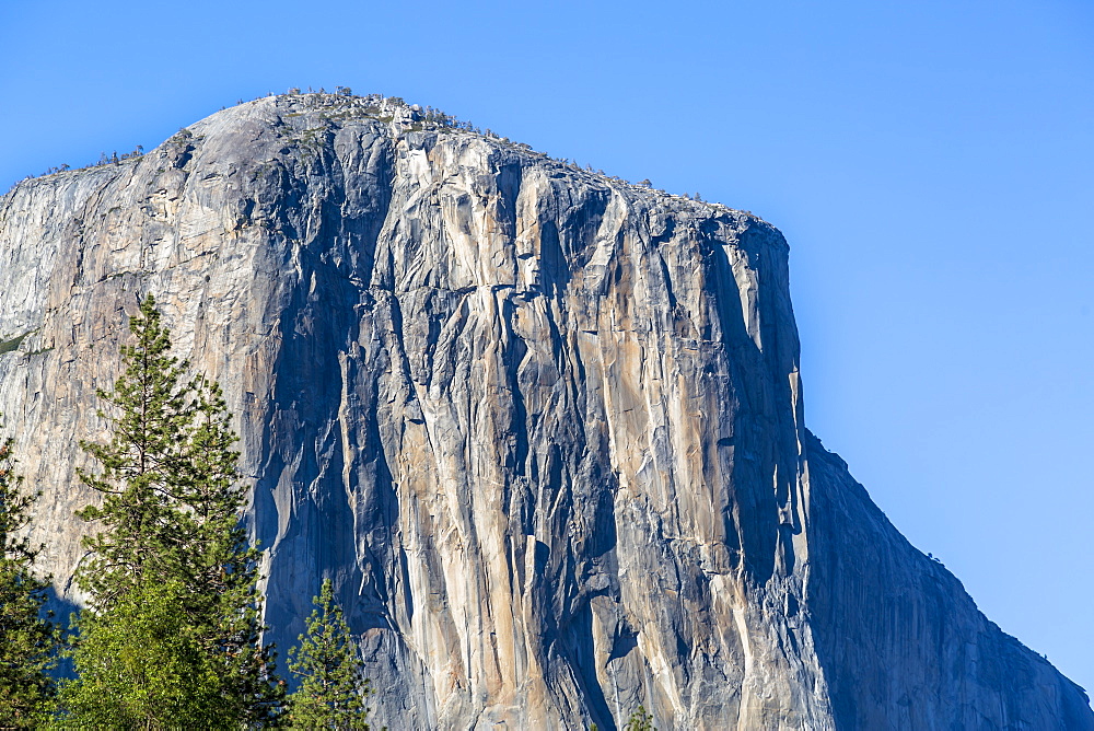 El Capitan in Yosemite Valley, UNESCO World Heritage Site, California, United States of America, North America