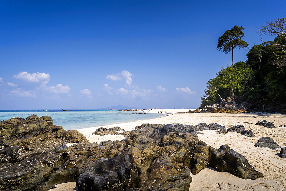 Rocky Bamboo Beach with palm tree, Maya Bay Phi Phi Island, Krabi Province, Thailand, Southeast Asia, Asia