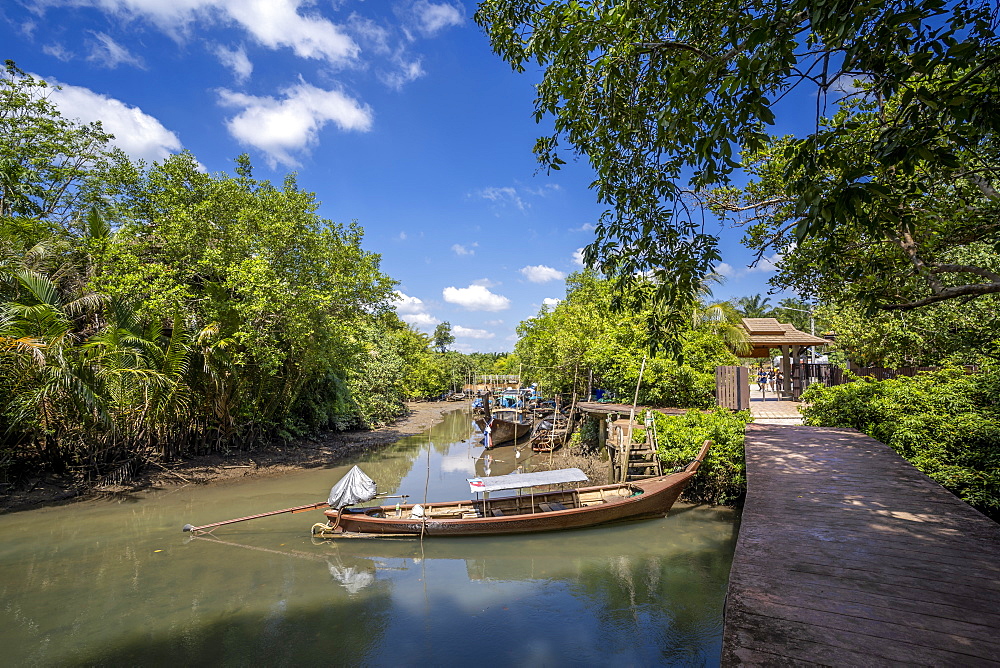 Dry season at Tha Pom Klong Song Nam National Park, Krabi Province, Thailand, Southeast Asia, Asia