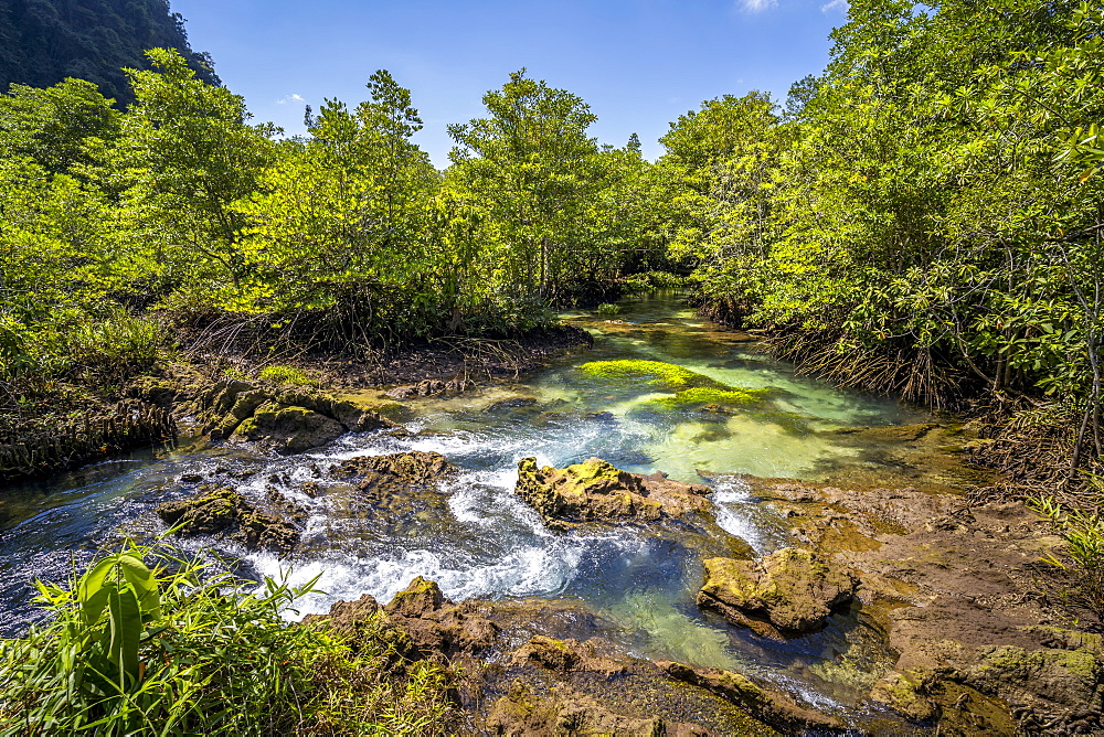 Tha Pom Klong Song Nam National Park, Krabi Province, Thailand, Southeast Asia, Asia