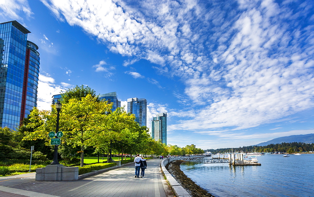 Sea Wall Walk overlooking Vancouver Harbour near the Convention Centre, Vancouver, British Columbia, Canada, North America