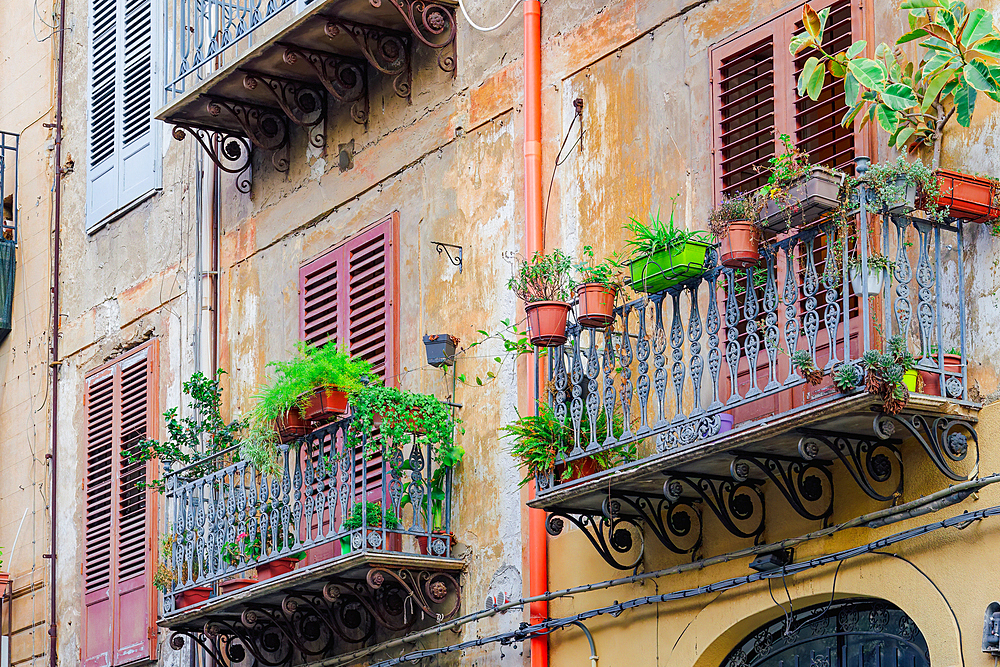 Traditional architecture of houses with iron balconies and flowers, wooden window shutters and slightly decayed facades, Palermo, Sicily, Italy, Mediterranean, Europe