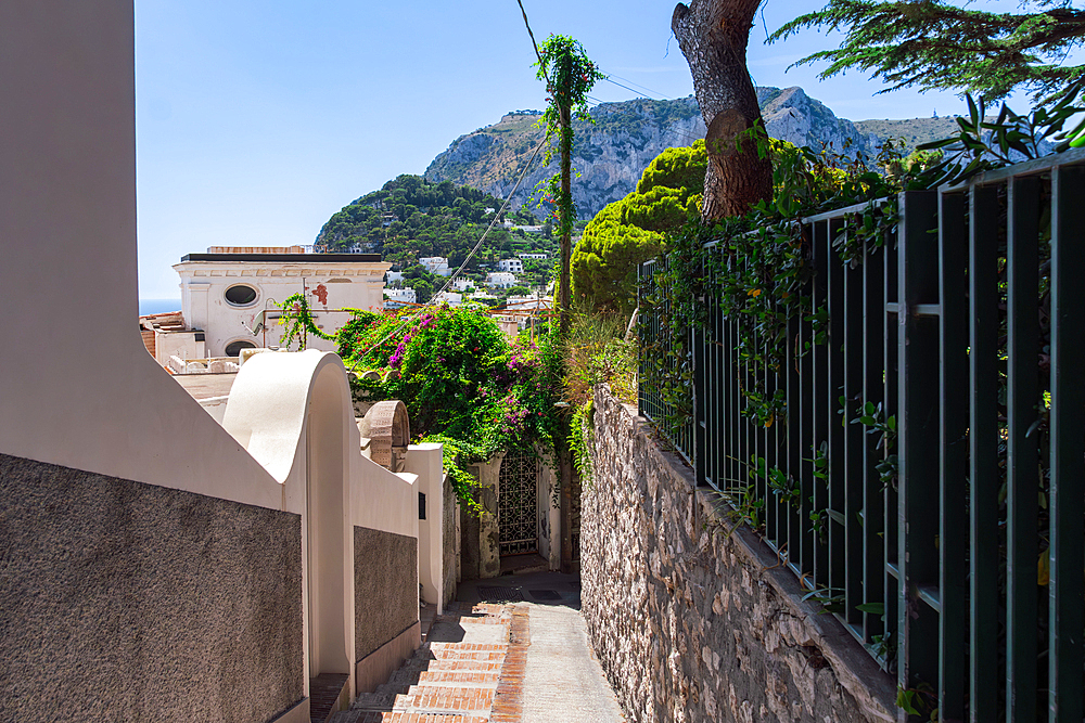 Narrow traditional alley between houses surrounded by stone walls in the capital town of Capri Island, Bay of Naples, Campania, Italy, Europe