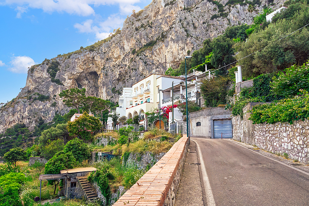 Houses surrounded by greenery above Marina Picola, Capri Island, Bay of Naples, Campania, Italy, Europe