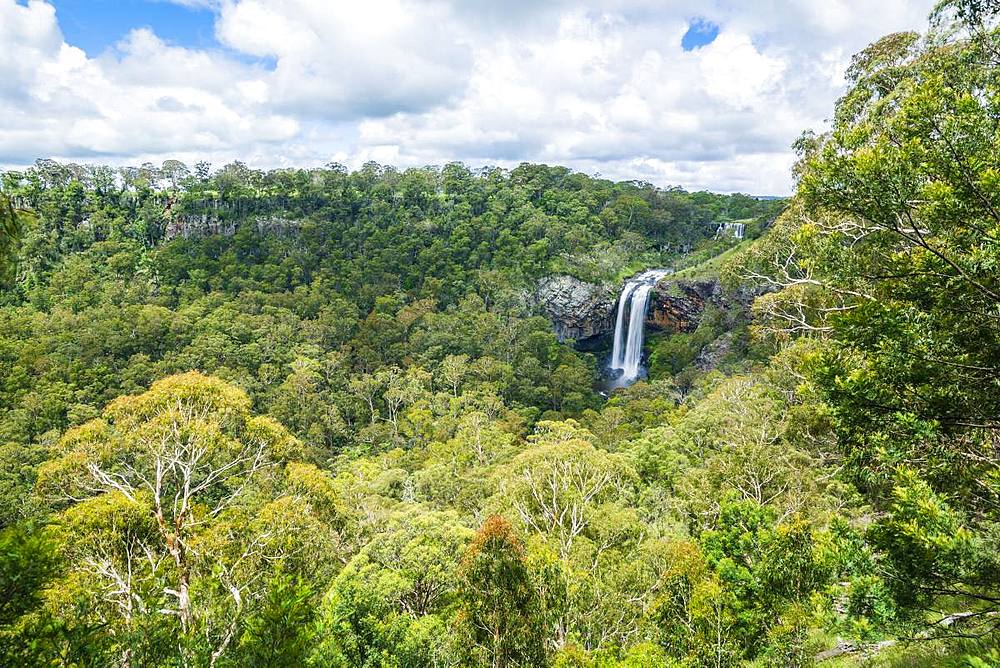 Ebor Falls, Guy Fawkes River National Park, New South Wales, Australia, Pacific