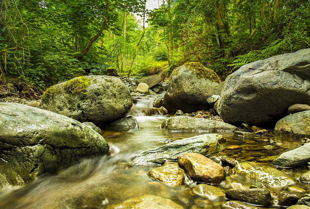 Brockle Beck, Springs Wood, near Keswick, Lake District, UNESCO World Heritage Site, Cumbria, England, United Kingdom, Europe