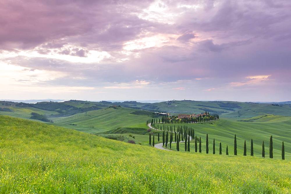 Sunset over the Agriturismo Baccoleno and winding path with cypress trees, Asciano in Tuscany, Italy, Europe