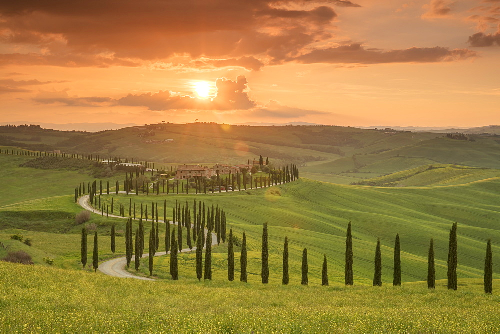 Sunset over the Agriturismo Baccoleno and winding path with cypress trees, Asciano in Tuscany, Italy, Europe