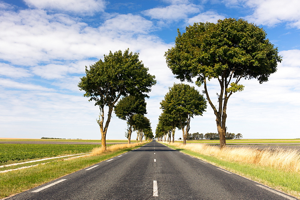 A straight section of the Liberty Road (La Voie de la Liberte) on a sunny day with blue skies, near Reims, France, Europe