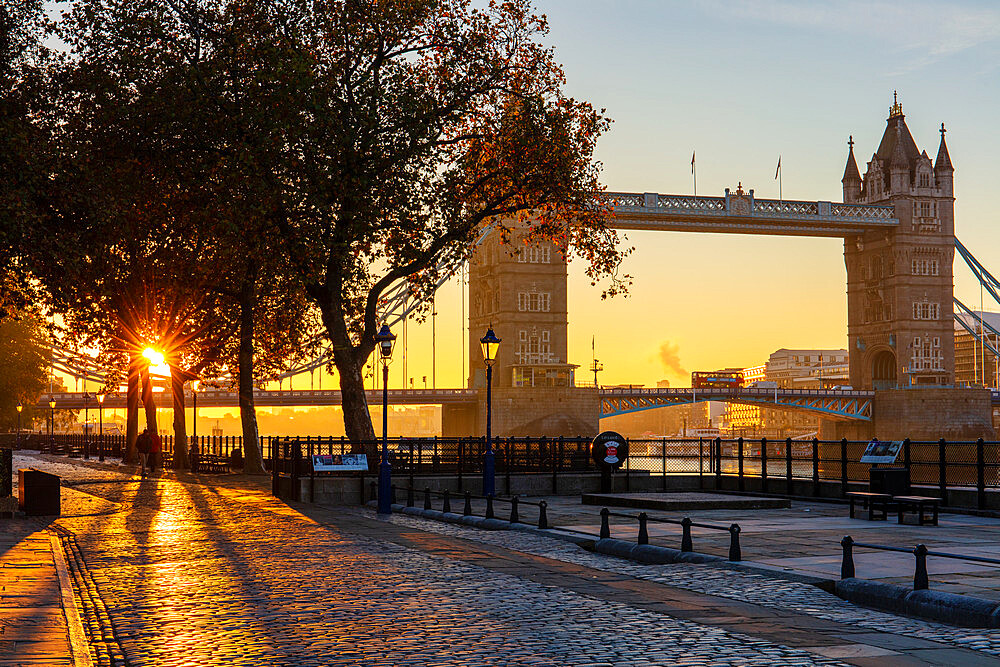 Autumn sunrise in grounds of the Tower of London, with Tower Bridge, London, England, United Kingdom, Europe